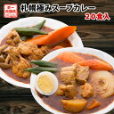 スープカレー 業務用20食 送料無料 札幌極みスープカレー レトルト カレー 大容量 北海道 チキン10食・豚角煮10食 ギフト 飲食店 レストラン ホテル 卸