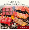 【ポイント5倍】〔 神戸牛＆松阪牛＆近江牛 三大和牛食べ比べ(焼肉用・計480g) 〕お取り寄せ 送料無料 内祝い 出産内祝い 新築内祝い 快気祝い ギフト 贈り物