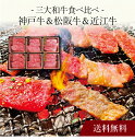 【ポイント2倍】〔 神戸牛＆松阪牛＆近江牛 三大和牛食べ比べ(焼肉用・計600g) 〕お取り寄せ 送料無料 内祝い 出産内祝い 新築内祝い 快気祝い ギフト 贈り物