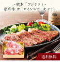 【送料無料】〔 熊本「フジチク」藤彩牛サーロインステーキセット 〕お取り寄せ 送料無料 内祝い 出産内祝い 新築内祝い 快気祝い ギフト 贈り物