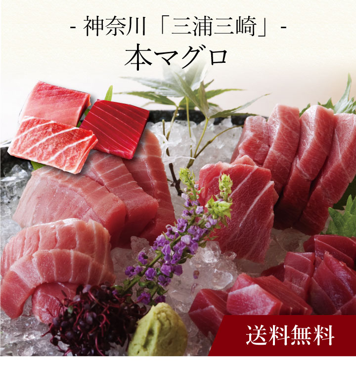 【ポイント2倍】〔 神奈川「三浦三崎」本まぐろ 〕お取り寄せ 送料無料 内祝い 出産内祝い 新築内祝い 快気祝い ギフト 贈り物