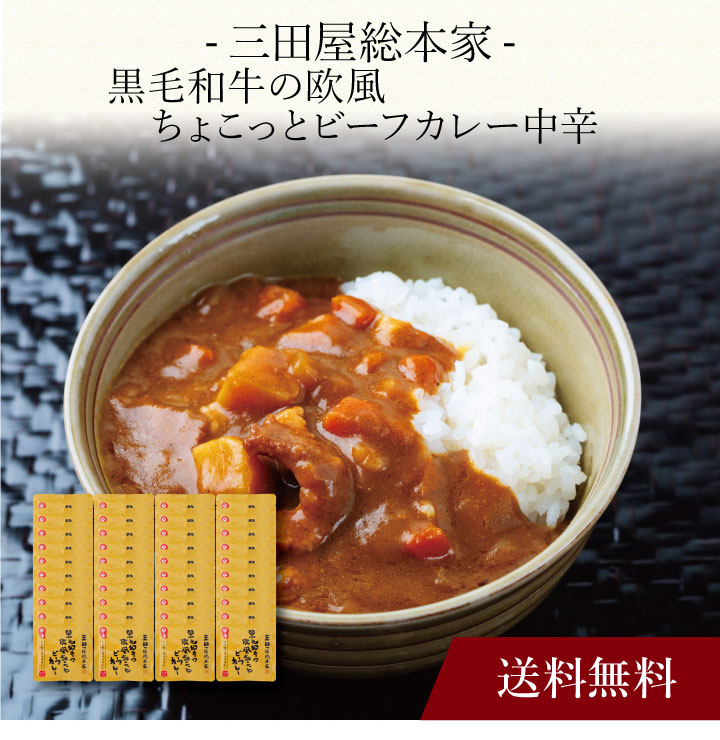 【送料無料】〔 三田屋総本家 黒毛和牛の欧風ちょこっとビーフカレー中辛(40食) 〕お取り寄せ 送料無料 内祝い 出産内祝い 新築内祝い 快気祝い ギフト 贈り物