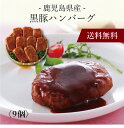 【送料無料】〔 鹿児島県産黒豚ハンバーグ 9個 1984309 〕お取り寄せ 送料無料 内祝い 出産内祝い 新築内祝い 快気祝い ギフト 贈り物