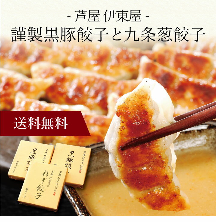 【ポイント5倍】〔 「芦屋 伊東屋」謹製黒豚餃子と九条葱餃子 NKKG-40 〕お取り寄せ 送料無料 内祝い 出産内祝い 新築内祝い 快気祝い ギフト 贈り物のサムネイル