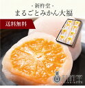 【送料無料】〔 「新杵堂」まるごとみかん大福 〕お取り寄せ 送料無料 内祝い 出産内祝い 新築内祝い 快気祝い ギフト 贈り物