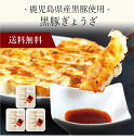 【送料無料】〔 鹿児島県産黒豚使用 黒豚ぎょうざ KBT-G3 〕お取り寄せ 送料無料 内祝い 出産内祝い 新築内祝い 快気祝い ギフト 贈り物