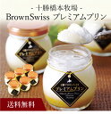 【送料無料】〔 十勝橋本牧場 BrownSwissプレミアムプリン BPPB6 〕お取り寄せ 送料無料 内祝い 出産内祝い 新築内祝い 快気祝い ギフト 贈り物