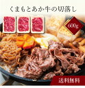 【送料無料】〔 くまもとあか牛の切落し(計600g)SK-21 〕お取り寄せ 送料無料 内祝い 出産内祝い 新築内祝い 快気祝い ギフト 贈り物