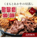 【送料無料】〔 くまもとあか牛の切落し(計1kg)SK-23 〕お取り寄せ 送料無料 内祝い 出産内祝い 新築内祝い 快気祝い ギフト 贈り物