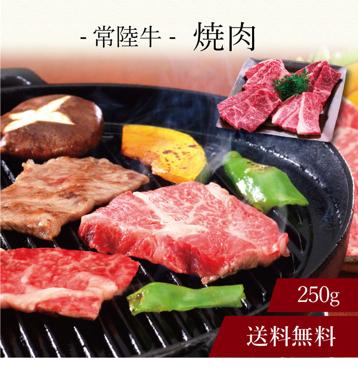 【ポイント5倍】〔 常陸牛 焼肉 〕お取り寄せ 送料無料 内祝い 出産内祝い 新築内祝い 快気祝い ギフト 贈り物のサムネイル