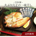 【送料無料】〔 日本海大ぶり穴子の一夜干し 〕お取り寄せ 送料無料 内祝い 出産内祝い 新築内祝い 快気祝い ギフト 贈り物