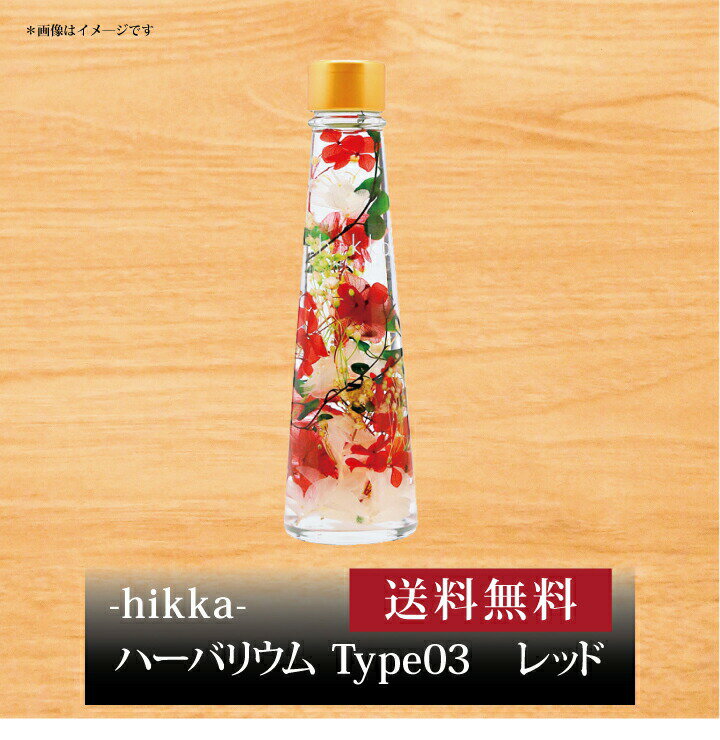 ڥݥ2ܡۡ hikka ϡХꥦ Type03 å hk0117-RD ۤ ̵ ˤ лˤ ...