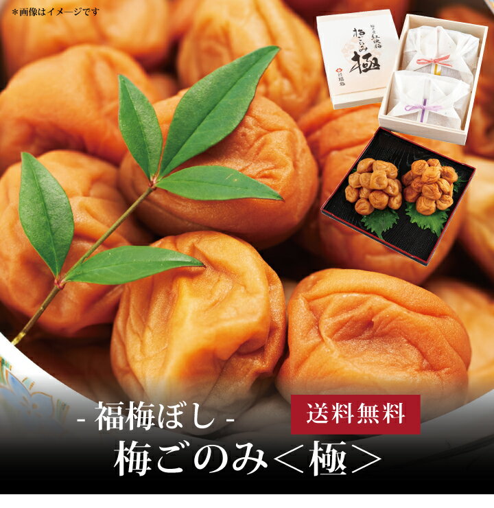 【送料無料】[ 福梅ぼし 梅ごのみ＜極＞ ]お取り寄せ 送料無料 内祝い 出産内祝い 新築内祝い 快気祝い ギフト 贈り物