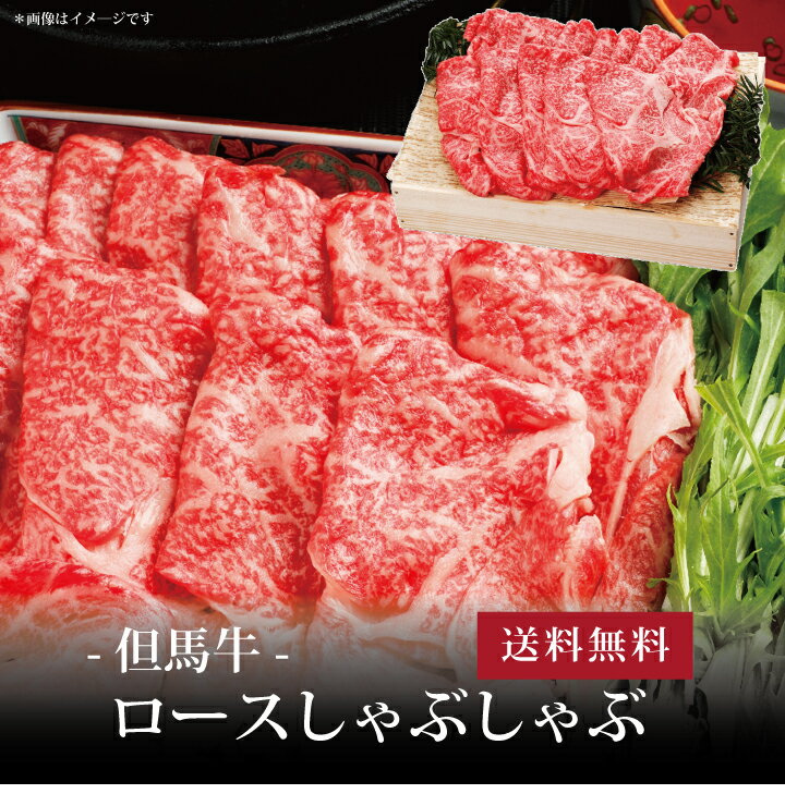 但馬牛 【ポイント5倍】[ 但馬牛 ロースしゃぶしゃぶ650g ]お取り寄せ 送料無料 内祝い 出産内祝い 新築内祝い 快気祝い ギフト 贈り物