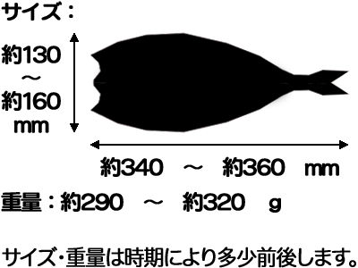にしん開　大　3枚 2