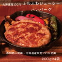 北海道産 ハンバーグ 200g ×4個 冷凍 添加物不使用