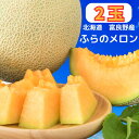 《発送は7月〜9月予定》北海道ふらの産 メロン 2Lサイズ(1玉1500g前後・2玉入り)2玉 順次発送 指定日不可 メロン フルーツ メロンメロン 赤肉 富良...