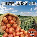 【指定日不可】 北海道産 玉ねぎ 1.5kg 2kg 6kg 小玉たまねぎ 数量限定 オニオン