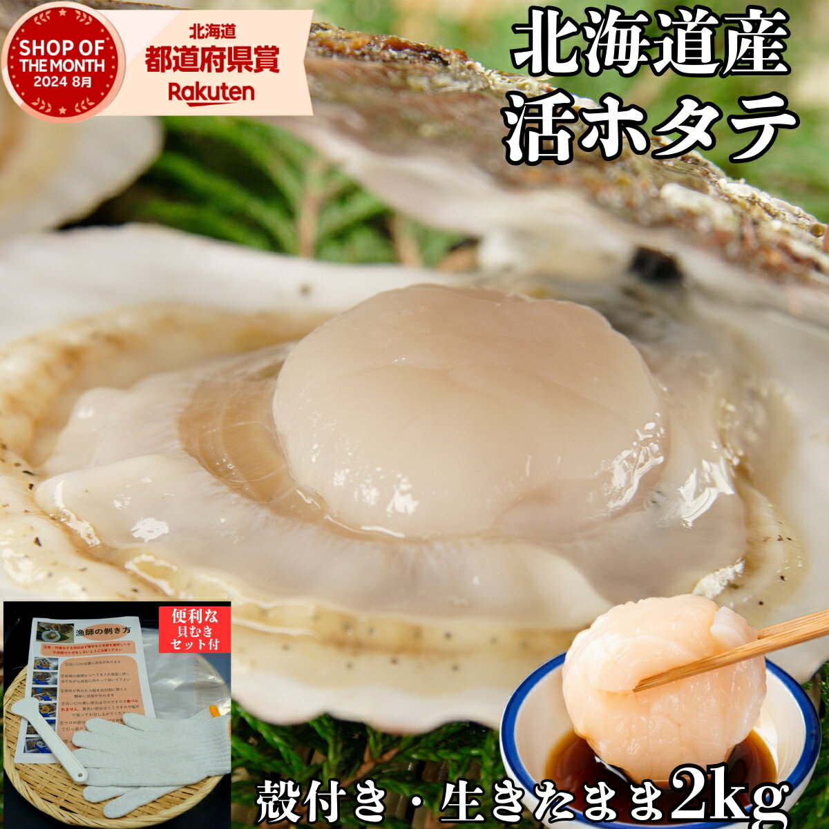 ホタテ 殻付きホタテ 活ホタテ 2Kg 生きたまま 北海道 オホーツク海産 ホタテ 帆立 殻付き バーベキュー 剥きヘラ付 冷蔵便 海鮮 ホタテ殻付き ホタテ刺身 紋別 海産物 生ホタテ 産地直送 ギフト ホタテ紋別 紋別ホタテ