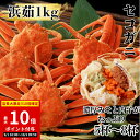 【ポイント10倍】 ズワイガニメス 1kg (5~8尾) おまけ付き 濃厚カニみそ 内子 ズワイガニ セイコガ二 セコガニ カニみそ 希少 カニ かに 蟹 ボイル ずわいがに 甲羅 ギフトズワイ 年内 発送 かに 海鮮 魚介類 敬老の日 北海道 海鮮丼 お歳暮 お取り寄せ グルメ 贈り物