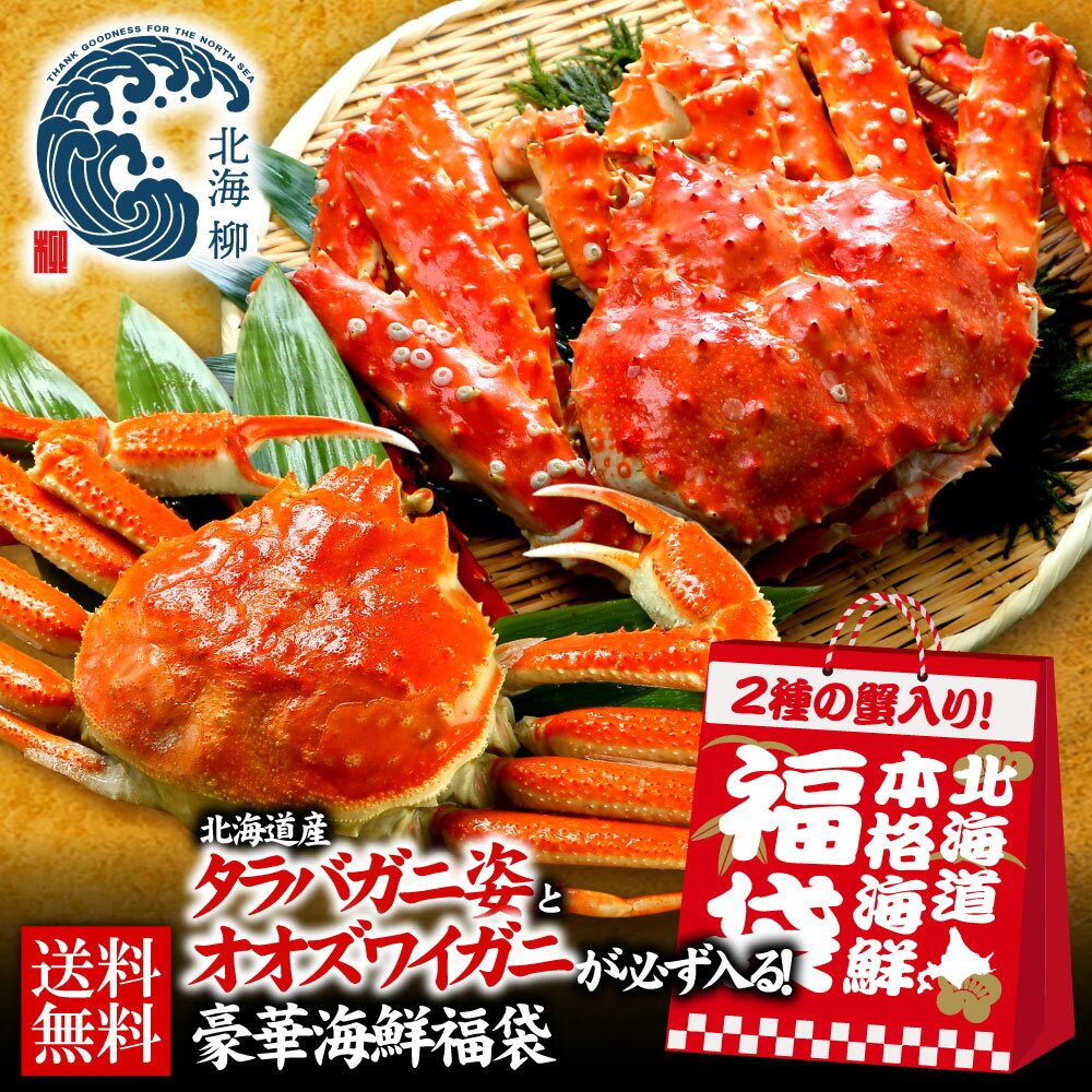お歳暮 ギフト タラバガニが必ず入る！海鮮福袋 全6～8点 訳あり 海鮮 福袋 タラバ 送料無料 産直 北海道グルメ ポイント消化 食べ物 食品 プレゼント 厳選 買い回り お取り寄せグルメ ギフト お土産 詰め合わせ 北海道 蟹 カニ 干物 魚