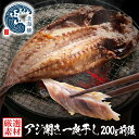 お中元 夏ギフト あじ干物 あじ アジ 市場の一夜干し 干物 WEB限定