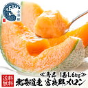 【3個購入で1個無料クーポン!1個当たり3,998円に!】 お中元 夏ギフト 北海道 富良野メロン 1玉1.6kg 2Lサイズ 送料無料 獲れたて メロン グルメ めろん 秀品 赤肉メロン ギフト 旬のフルーツ フルーツ 果物 北海道メロン