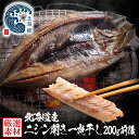 お中元 夏ギフト にしん干物 ニシン 開き 北海道産 市場の一夜干し 干物 WEB限定