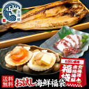 お中元 夏ギフト お試し海鮮福袋セット 全5点 プレゼント ギフト WEB限定