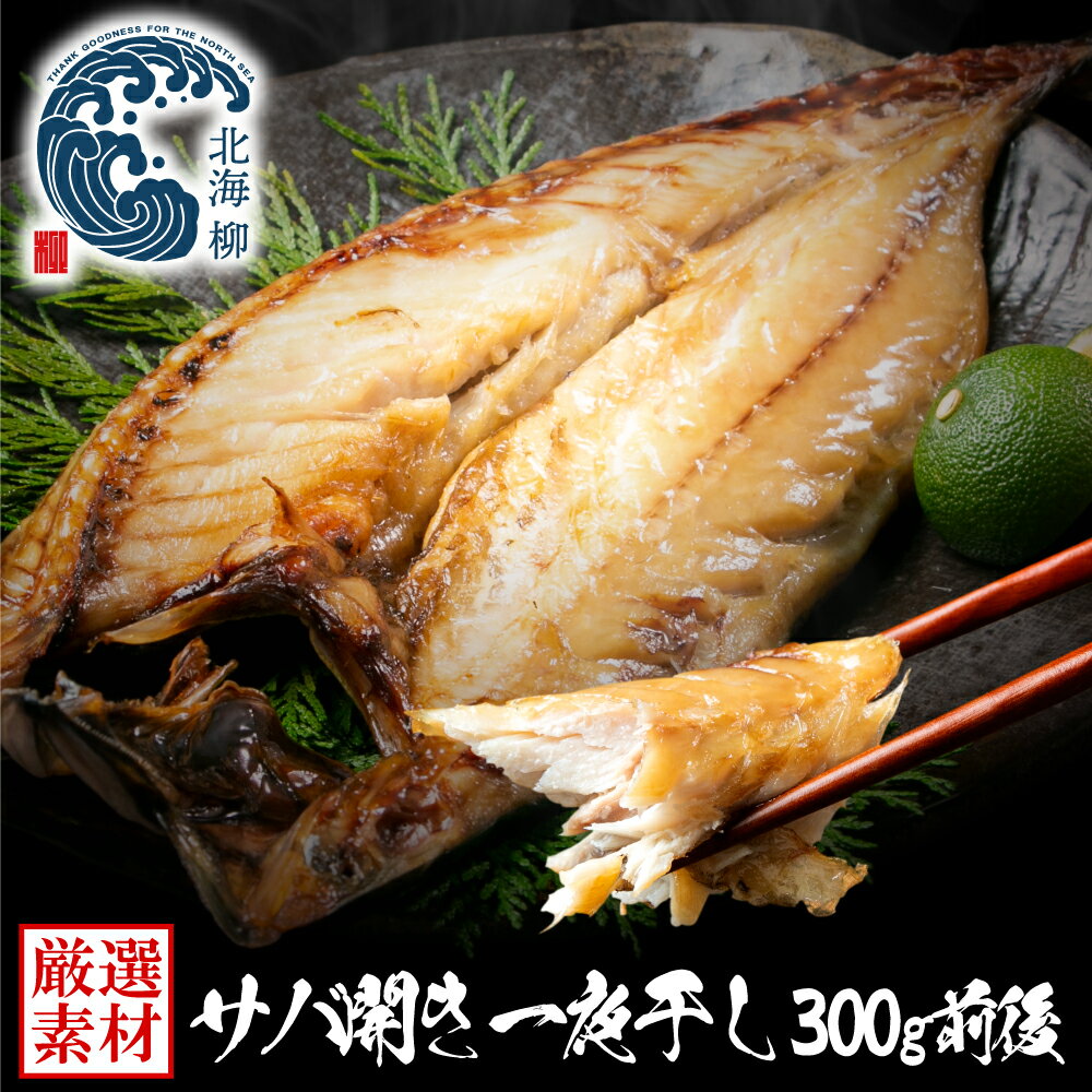 母の日 さば干物 さば サバ 開き 市場の一夜干し 干物 WEB限定