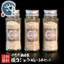 お中元 夏ギフト やなぎ家特製 塩コショウ 40g 3本 WEB限定