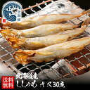 お中元 夏ギフト 北海道産本ししゃも【オス】 送料無料 本ししゃも30尾 北海道産本物のシシャモです 干物 WEB限定