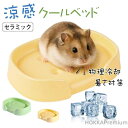 【送料無料】わいい 冷却マット クールマット 涼しい 物理冷却 ハムスター クールマット 暑さ対策 冷房対策 熱中症防止 洗える 飾り付け 掃除便利 ハムスター...