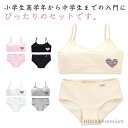 【送料無料】ジュニア向け スポーツブラ ノンワイヤーブラ 学生 下着セット 女の子 ジュニアブラジャー ショーツ ノンワイヤー 上下セット セット ブラジャー ...