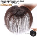 【送料無料】ショート 頭頂部 円形脱毛症 直径6cm/長さ15cm/20cm トップカバー 隠し つむじ 女性用 メンズ 部分ウィッグ 人毛
