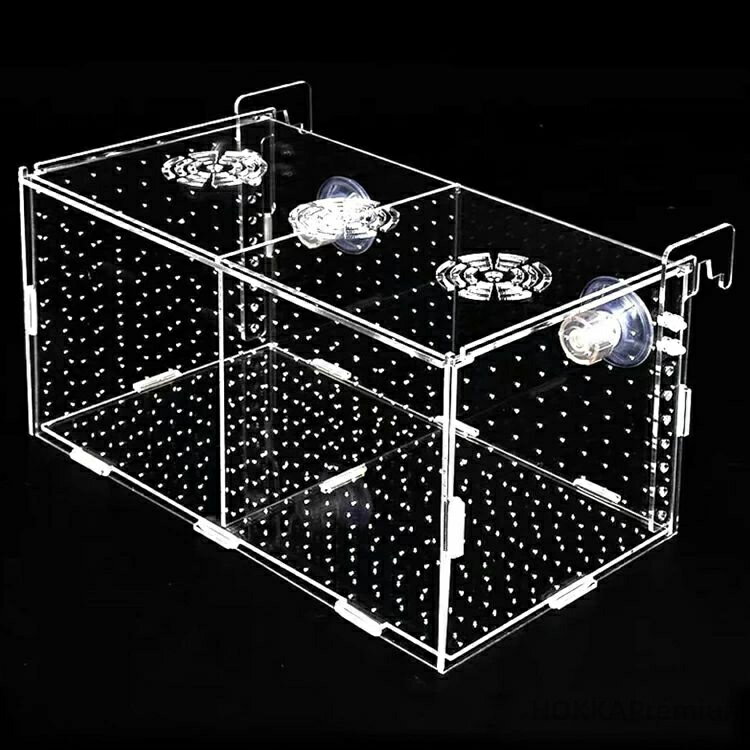 【送料無料】繁殖隔離ボックス 隔離箱 水槽用 孵化 産卵箱 魚の隔離 飼育保護 水族館アクセサリー 透明 アクリル 吸盤 省スペース 取り付け簡単 保護 透明 高透過率 安定