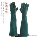 【送料無料】爬虫類 ペットショップ キャンプ ペットトレーナー 保護手袋 虫刺され対策 園芸 飼育 牛革製グローブ 厚手 60cm 手袋 噛みつき