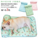 【送料無料】ひんやり 冷感 ドッグベッド フラット クールマット 犬用ベッド 夏用 夏 ペットベッド ベッド 犬用 犬
