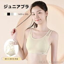 【送料無料】スポーツブラ ジュニア ブラ 中学生 ブラジャー 子供 ノンワイヤ ブラトップ タンクトップ 高校生 部活 ジュニア 肌着 カップ付き 女の子 コットン メッシュ