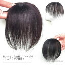 【送料無料】かつら 女性用 つけ毛 増毛 薄毛対策 部分かつら 自然 ミセス ヘアピース 白髪隠し 人毛 部分ウィッグ