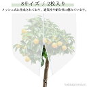 【送料無料】家庭菜園 みかん 植物保護カバー 野菜栽培 ベランダ 2.5*2.5m 防鳥ネット 農業 果樹園 植物保護袋 2枚 DIY 1.2*1.5m 防虫ネ...