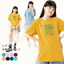 【送料無料】夏Tシャツ 女性 コットンTシャツ サラサラ クルーネック カットソー 半袖 プリントTシャツ ゆったり 夏 Tシャツ レディース