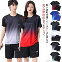 【送料無料】短パン トレーニングウェア 半袖Tシャツ パンツ スポーツウェア 無地 サウナスーツ レディース Tシャツ メンズ 上下セット