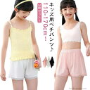 【送料無料】見せパン 120 透け防止 肌着 キッズ ペチパンツ 薄手 インナーパンツ ペチコートパンツ 裾レース ペチパン 3枚セット 子供用
