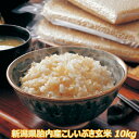 令和5年産 新潟産こしいぶき 10kg 玄米 送料無料 食味Aランク 新米 農薬節減（7割減） 有機肥料栽培米・残留農薬ゼロ（検査済） 一等級　【色選別済】 送料込み　産地直送 1