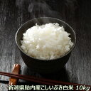 令和5年産 新米 新潟産こしいぶき 10kg 白米   食味Aランク 栽培期間中の化学農薬はほぼ不使用　農薬節減（7割減） 有機肥料栽培米 一等級　送料無料