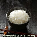 令和2年産 新米 新潟産こしいぶき 5kg 白米 【精米済】【送料込み】 食味Aランク (ほぼ 無農薬) 一等級