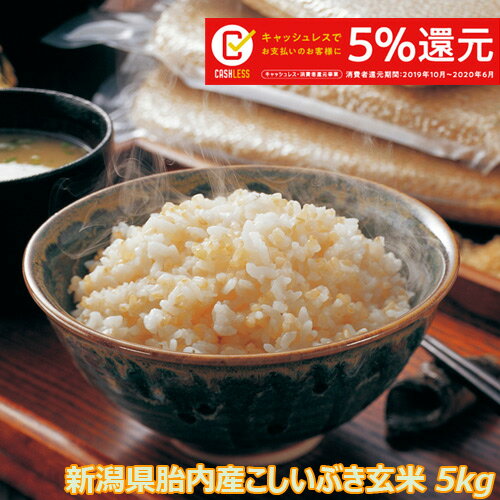 令和元年産 新潟産こしいぶき 5kg 玄米 【送料無料】食味Aランク (ほぼ 無農薬) 一等級　キャッシュレス・消費者還元事業　5%キャッシュバック