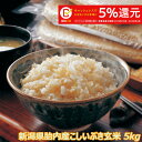 令和元年産 新潟産こしいぶき 5kg 玄米 【送料込み】食味Aランク (ほぼ 無農薬) 一等級　キャッシュレス・消費者還元事業　5%キャッシュバック