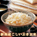 新米 令和5年産 新潟産こしいぶき 5kg 玄米 送料無料 【送料込み】食味Aランク 農薬節減（7割減）ほぼ無農薬での栽培 有機肥料栽培米 残留農薬ゼロ（検査済） 一等級【色選別済】一等米